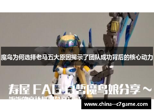 魔鸟为何选择老马五大原因揭示了团队成功背后的核心动力